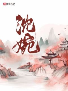 《沈婉》婉婉沈凛沈文焕章节列表免费试读