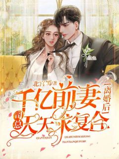 《千亿前妻离婚后，司总天天求复合》小说免费阅读 《千亿前妻离婚后，司总天天求复合》最新章节目录