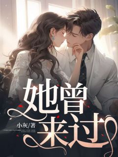 《她曾来过》小说全文精彩试读 林小九苏玛丽小说阅读