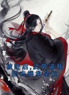 《被贬后,武帝逼我回去继承皇位》小说全文精彩章节免费试读(赵开丰璇玑)