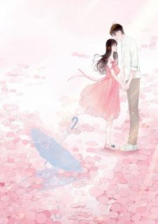 娇妻难哄,段少谋妻已久