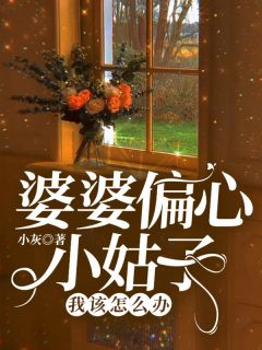 婆婆偏心小姑子，我该怎么办？全本资源 小雪唐元精彩章节未删减版