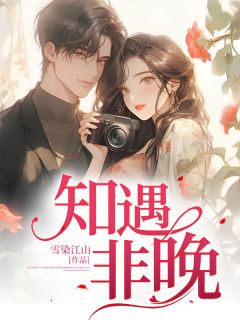 知遇非晚 陆不晚沈知宴小说全文章节免费试读