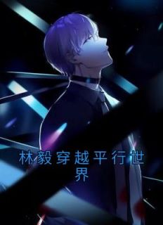 《林毅穿越平行世界》小说章节目录免费阅读 林毅苏瑶小说全文
