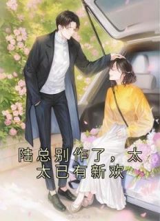 《陆总别作了,太太已有新欢》小说章节列表在线阅读 宋清枝陆霆小说全文