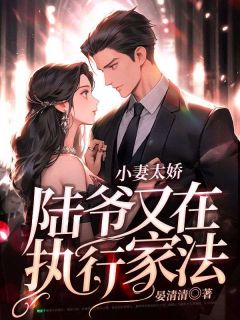 《小妻太娇,陆爷又在执行家法》小说完结版在线试读 温宁陆晏辞小说全文