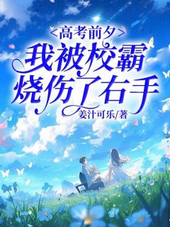 《高考前夕,我被校霸烧伤了右手》小说大结局在线试读 江宏萧潇小说全文