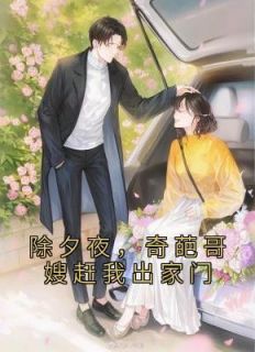 《除夕夜，奇葩哥嫂赶我出家门》小说大结局免费阅读 宋岁岁李若楠小说阅读