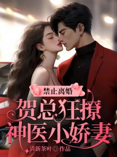 《禁止离婚！贺总狂撩神医小娇妻》小说全文在线试读 《禁止离婚！贺总狂撩神医小娇妻》最新章节目录