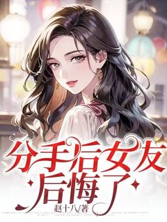 《分手后女友后悔了》苏齐林安完结版在线试读