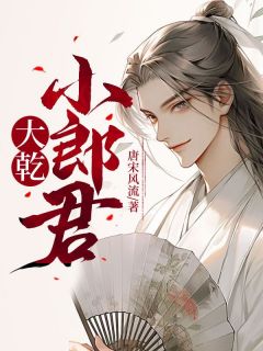 大乾小郎君小说精彩章节免费试读（主角杨小天婉儿）