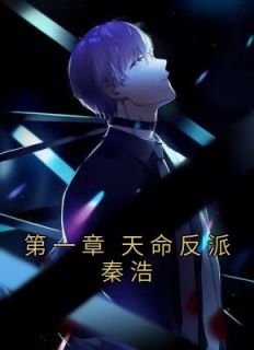 第一章 天命反派秦浩精彩章节免费试读 秦浩叶流云小说 大结局