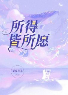 所得皆所愿小说全文免费阅读 沈澜叶风章节目录精彩章节