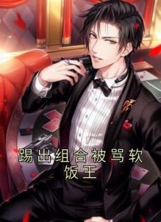 踢出组合被骂软饭王(林毅苏瑶)全文完结在线阅读完整版