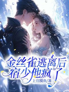 《金丝雀逃离后，宿少他疯了》小说章节目录在线试读 姜娣宿辰小说阅读