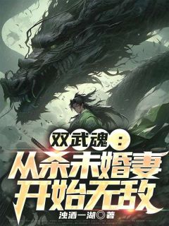 《双武魂：从杀未婚妻开始无敌》小说完结版免费试读 秦观叶可清小说全文