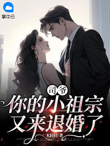 《司爷，你的小祖宗又来退婚了》秦婳司承琛小说全部章节目录