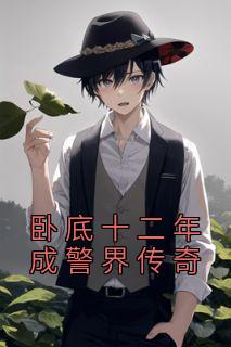 《卧底十二年成警界传奇》小说章节列表免费试读 赵辰许婷小说阅读