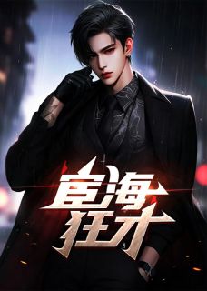 《宦海狂才》(林飞兰芳)小说阅读by浮沉