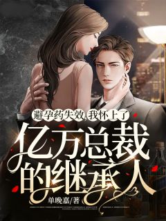 避孕药失效,我怀上了亿万总裁的继承人