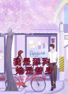 我是舔狗，她是替身免费阅读 许言江席的小说免费试读