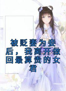 被贬妻为妾后,我离开做回最算贵的女君