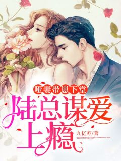 哑妻带崽下堂,陆总谋爱上瘾