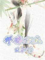 《祥瑞公主》小说章节免费阅读 十七石榴小说阅读