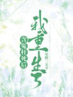 赵卫正成天理by星野三关 含冤枉死后，我重生了阅读全文