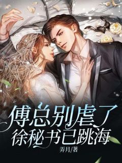 《傅总别虐了,徐秘书已跳海》小说章节目录在线阅读 徐宁欢傅南祁小说阅读