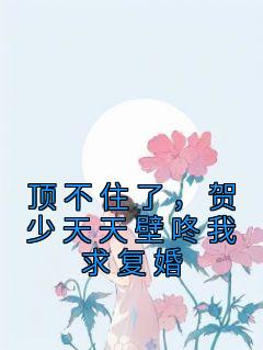 顶不住了,贺少天天壁咚我求复婚