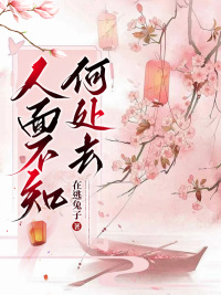 《人面不知何处去》小说完整版在线阅读(主角鸢儿君彦钦安)