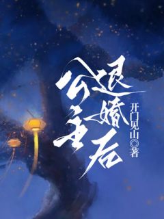《公主退婚后》完结版免费试读 《公主退婚后》最新章节目录