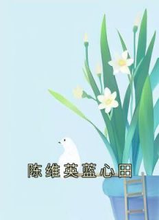 《陈维英蓝心田》小说全文免费试读 陈维英蓝心田小说全文
