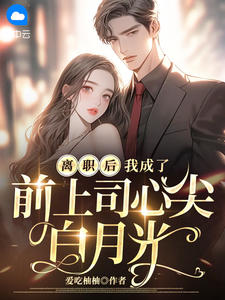 许绾陆霁白by爱吃柚柚 离职后，我成了前上司心尖白月光小说完整篇在线阅读