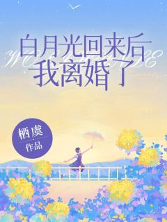 《白月光回来后,我离婚了》小说阅读 沈念周砚小说