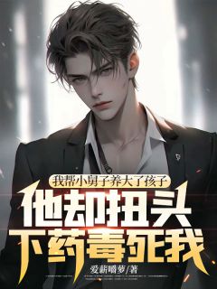 我帮小舅子养大了孩子，他却扭头下药毒死我完整目录在线阅读 (杨磊崔月娥) 大结局无弹窗