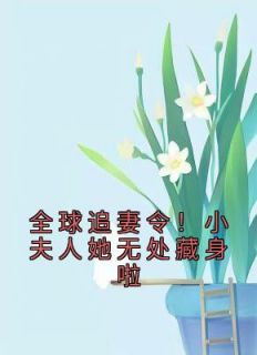 《全球追妻令!小夫人她无处藏身啦》小说全文精彩章节在线阅读(云栀意厉阈野)
