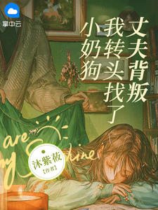 《丈夫背叛，我转头找了小奶狗》林婉如傅宴岑大结局在线阅读