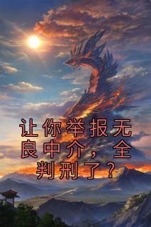 让你举报无良中介,全判刑了?