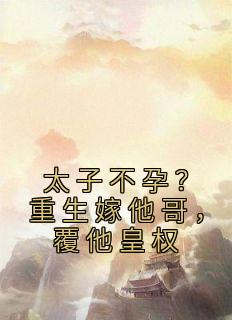 太子不孕?重生嫁他哥,覆他皇权主角沈宓慕容澈全文章节免费试读
