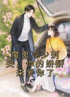 魔鬼冷少别哭,你的娇娇来爱你了完整小说目录在线阅读 (盛洛暖冷肆夜) 大结局无弹窗