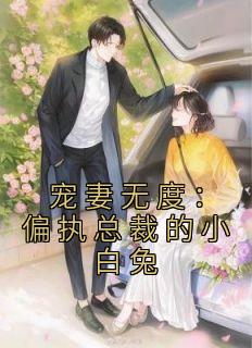 宠妻无度：偏执总裁的小白兔免费阅读 骆暖暖陈寅的小说免费试读