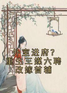 《外室进府?重生三媒六聘改嫁首辅》苏清妤沈昭免费试读