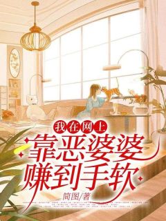 我在网上靠恶婆婆赚到手软完整全文阅读 叶岚婆婆小说结局无删节