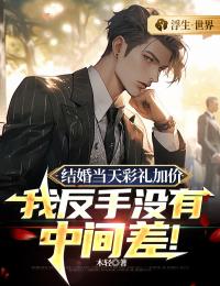《结婚当天彩礼加价,我反手没有中间差!》(叶飞王若涵)小说阅读by木轻