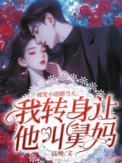 《被发小退婚当天，我转身让他叫舅妈》小说章节列表在线阅读 陆安宁霍胤小说阅读