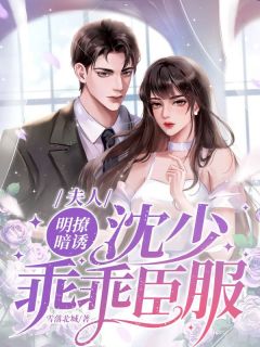 夫人明撩暗诱,沈少乖乖臣服