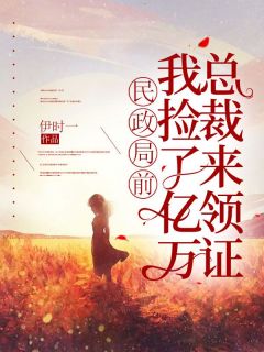 民政局前,我捡了亿万总裁来领证