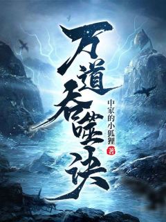 [万道吞噬诀沈天沈枫小说全文章节目录在线阅读